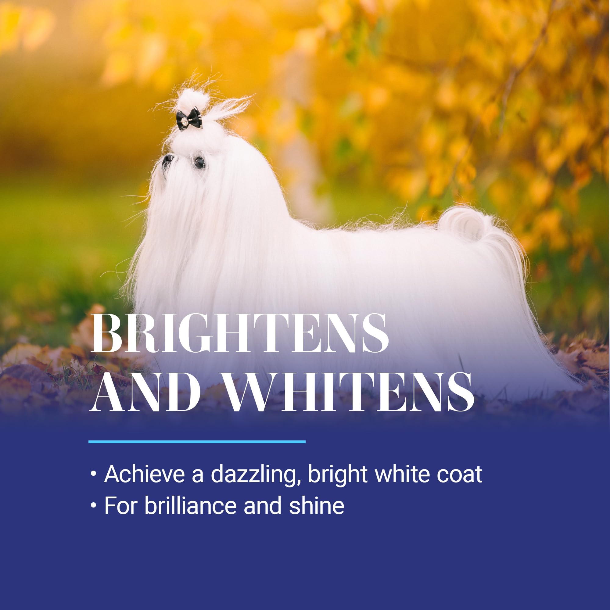 Chris Christensen White on White before-after coat reveals whitening results