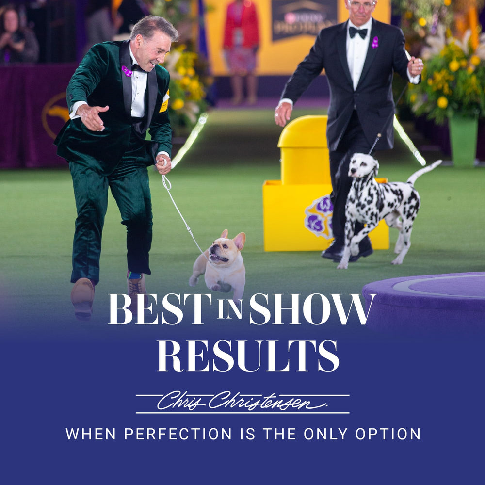 Chris Christensen White on White dirt removal from dog park session