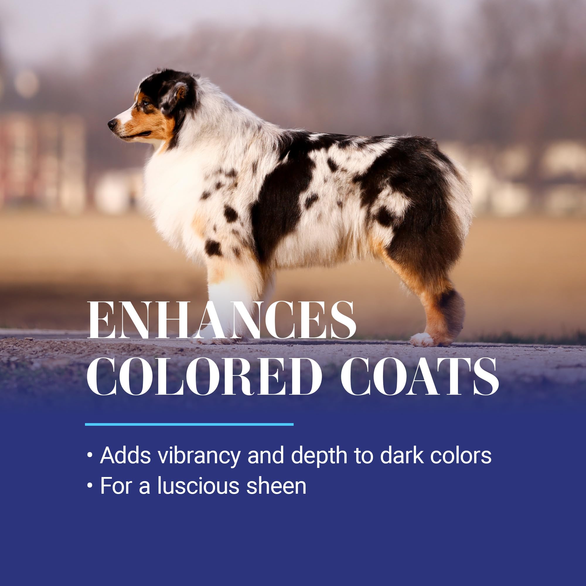 Chris Christensen White on White puppy-use image shows 8 weeks and up suitability