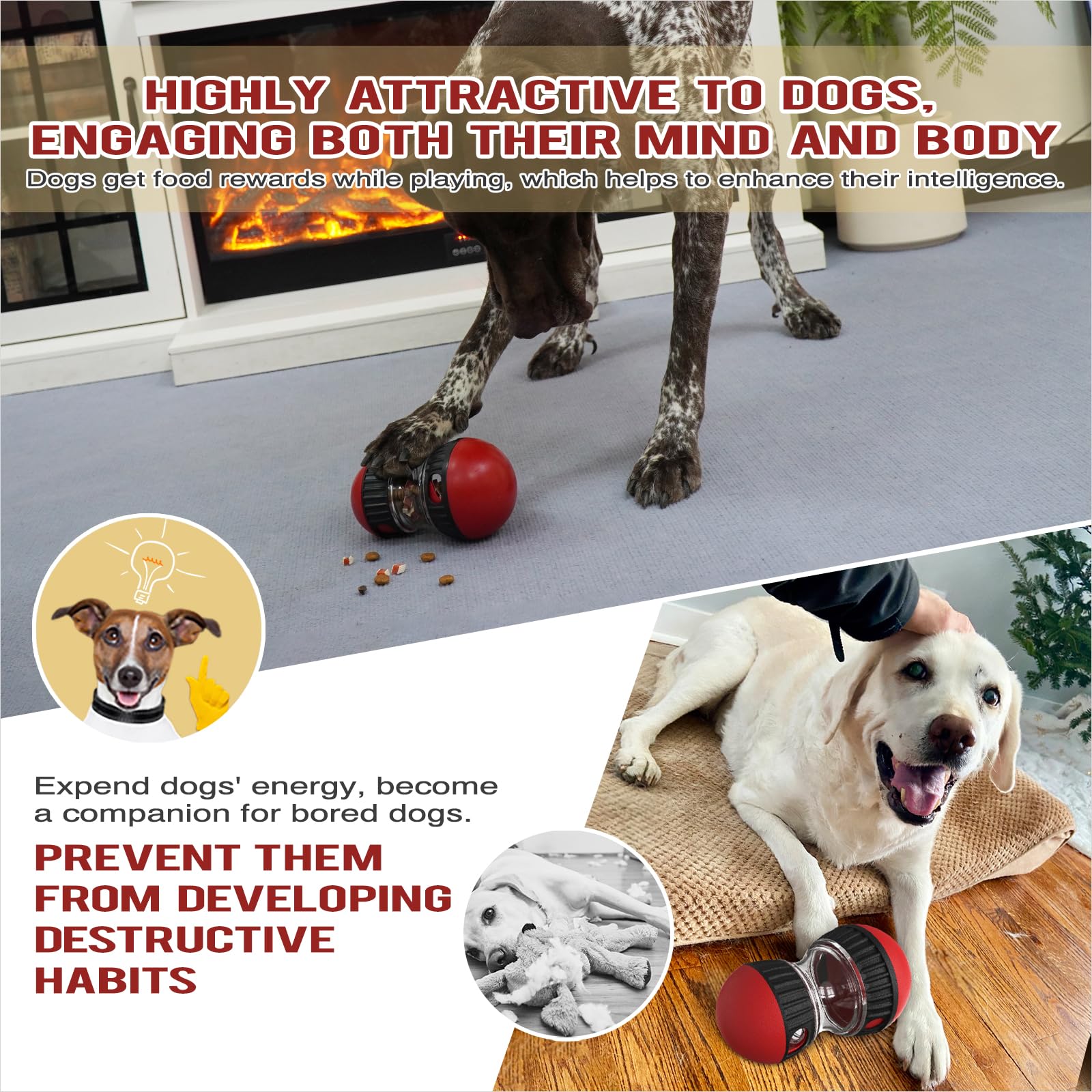 Chronanagese dog enjoying interactive play shot showcases enrichment and entertainment.