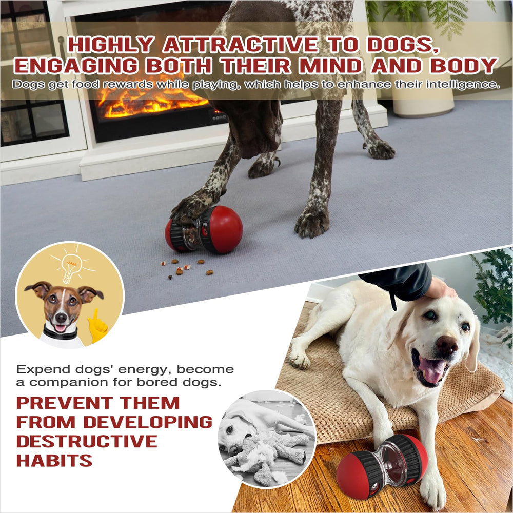 Chronanagese dog enjoying interactive play shot showcases enrichment and entertainment.