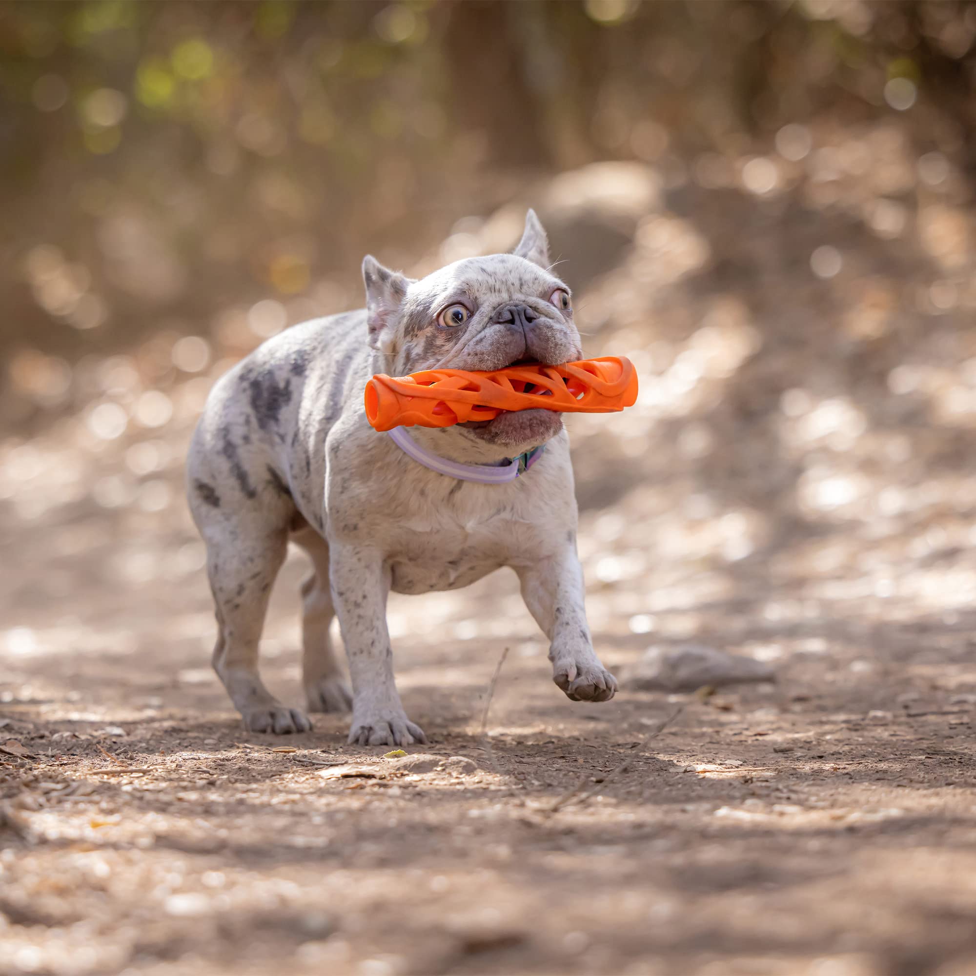 Chuckit! Air Fetch Stick large features 2.5-inch diameter and 15-inch length for safe carry.