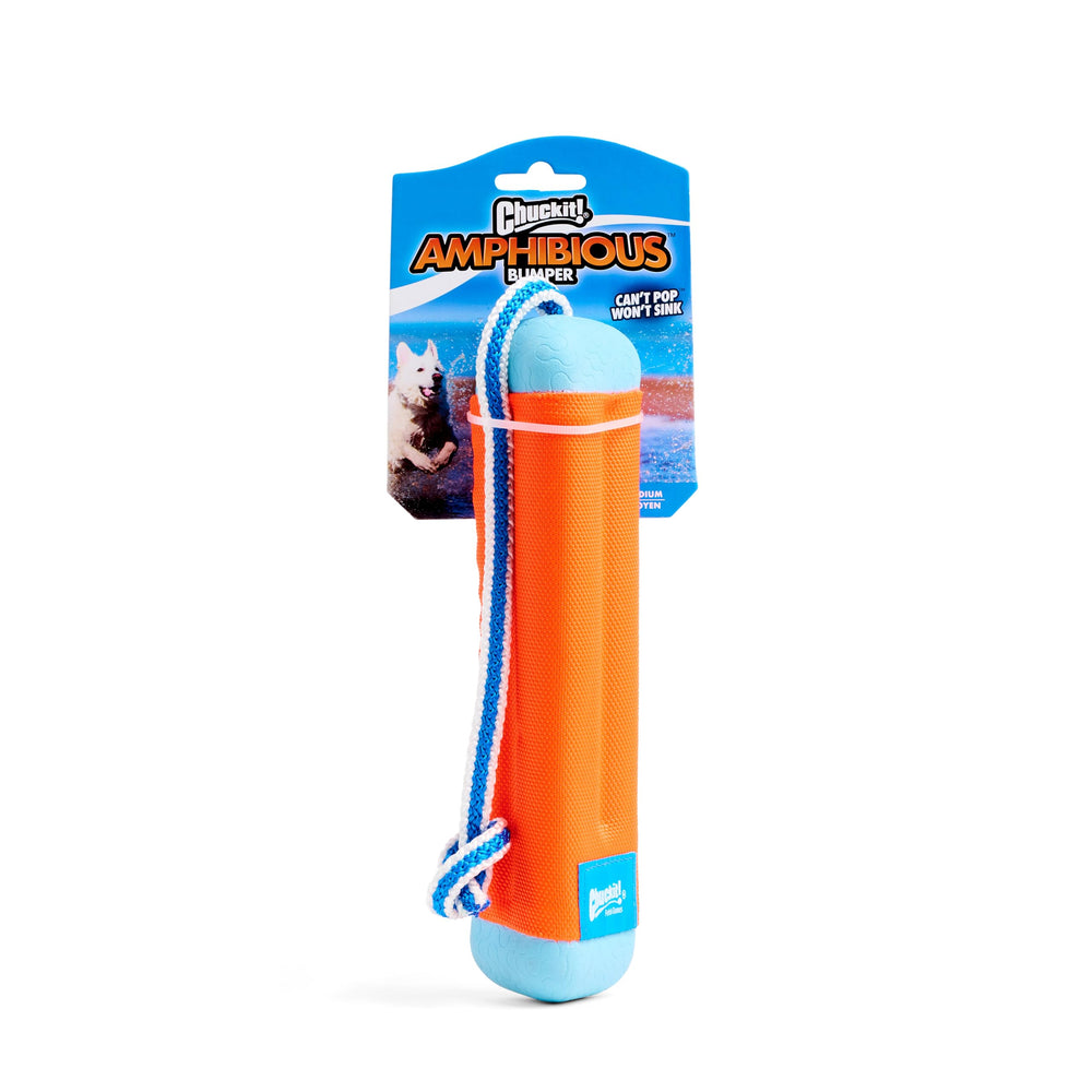 Chuckit Amphibious Bumper floats for easy water fetch in the pool