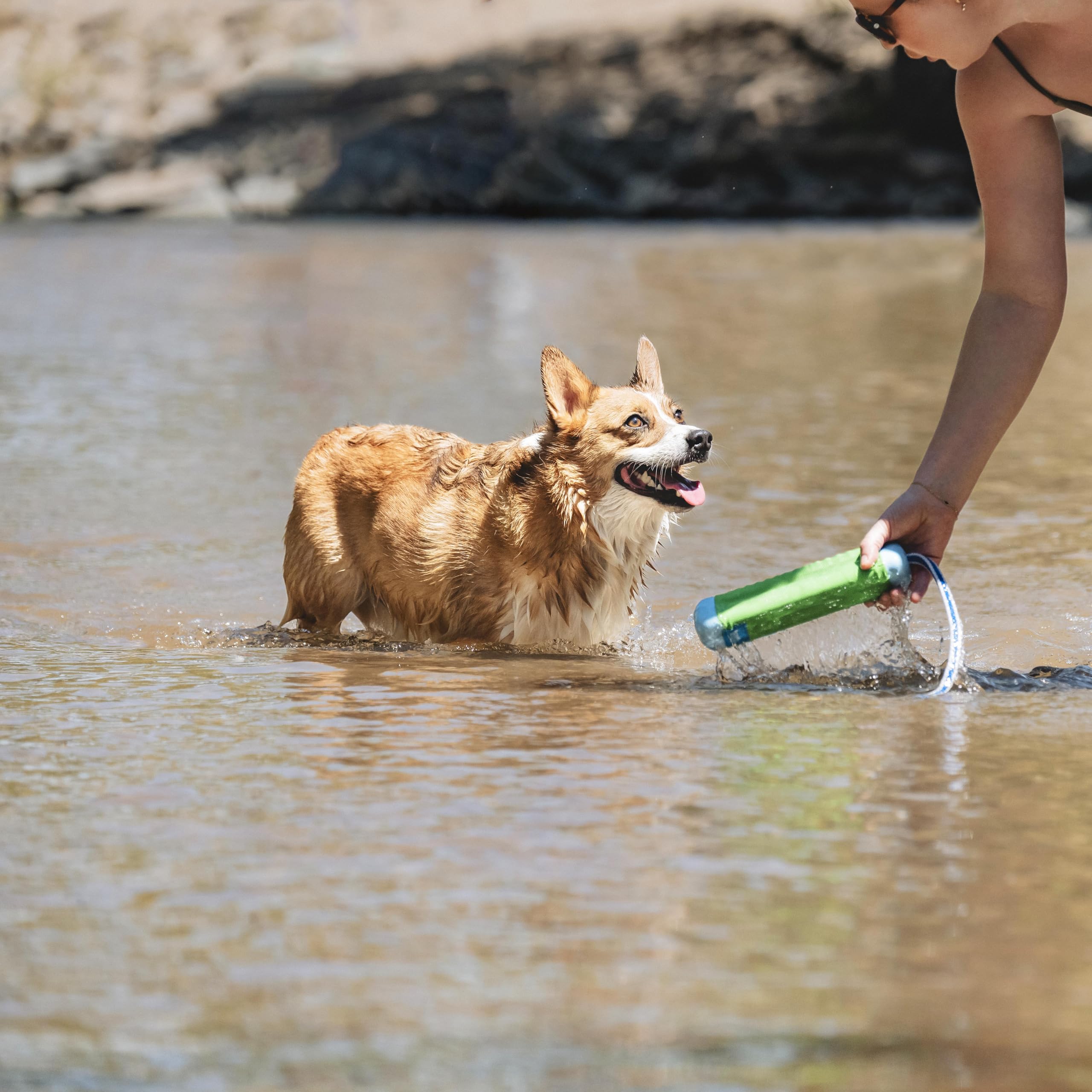 Chuckit Amphibious Bumper rubber and foam construction endures throws