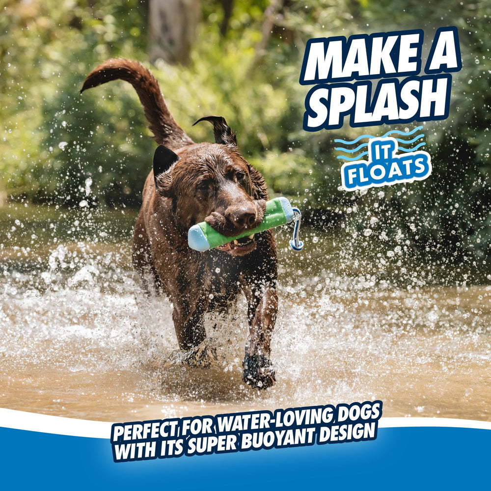 Chuckit Amphibious Bumper small size fits dogs up to 60 lb