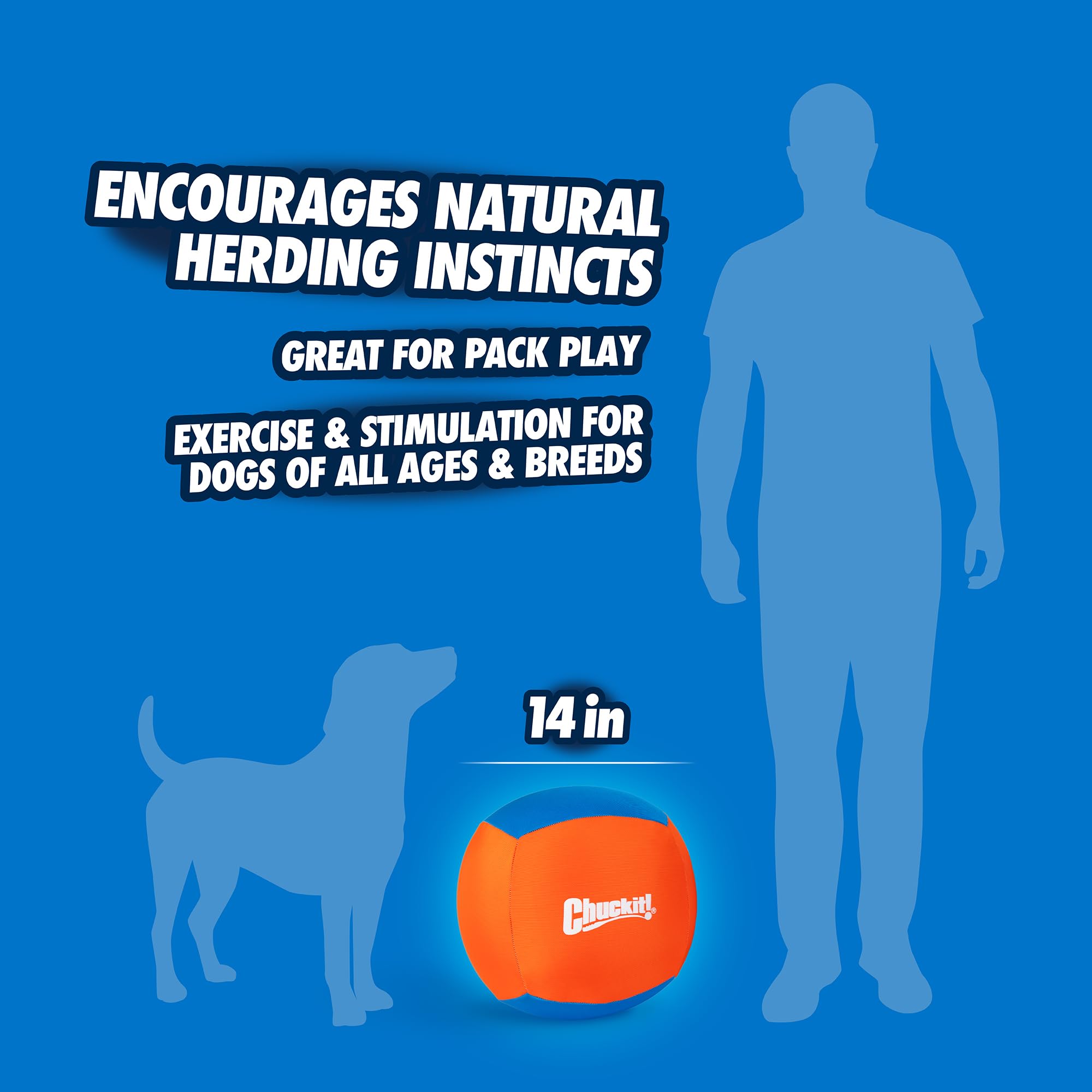 Chuckit! Big Air Ball dog herding motion demonstrates instinctive play