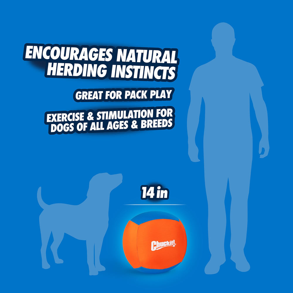 Chuckit! Big Air Ball dog herding motion demonstrates instinctive play