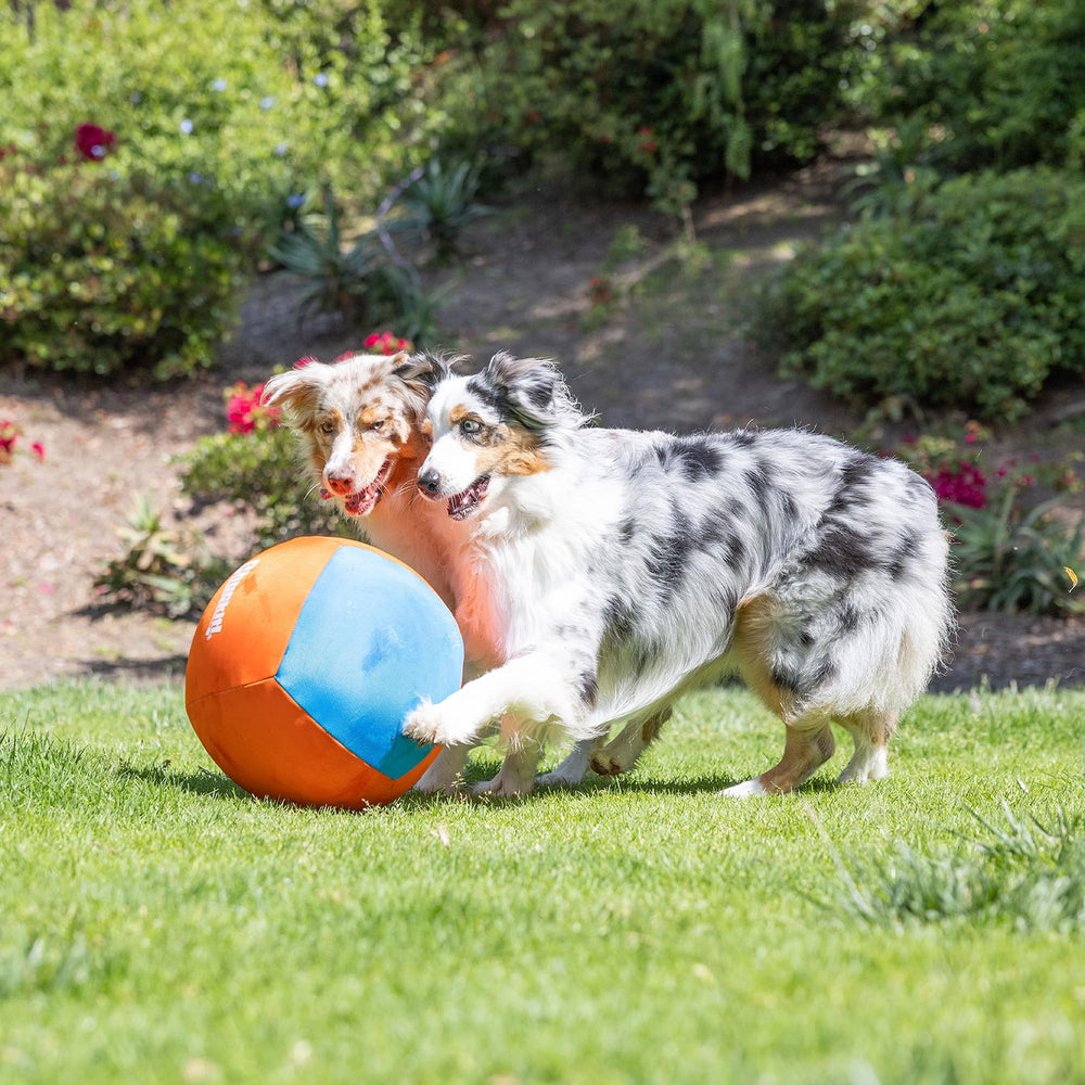 Chuckit! Big Air Ball suitable for indoor and outdoor use during play
