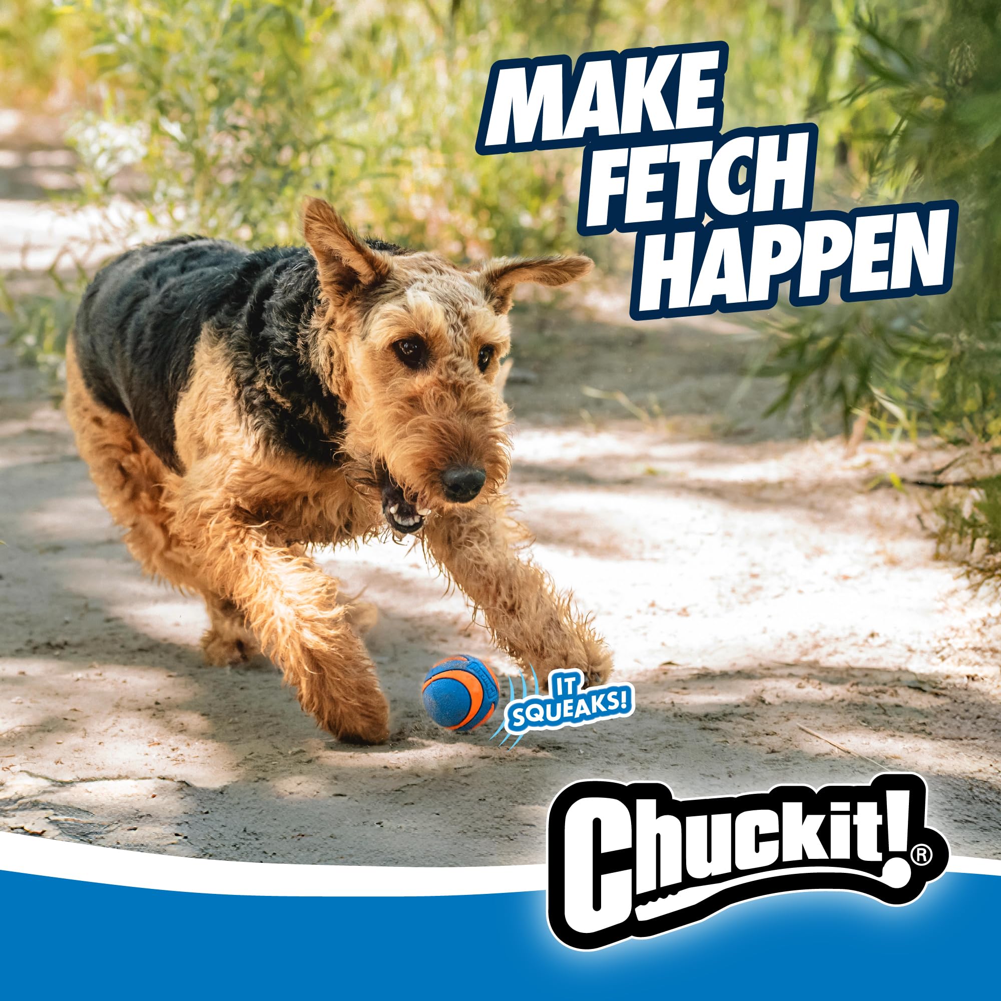 Chuckit brand heritage ball set with vibrant colors and dependable squeak.