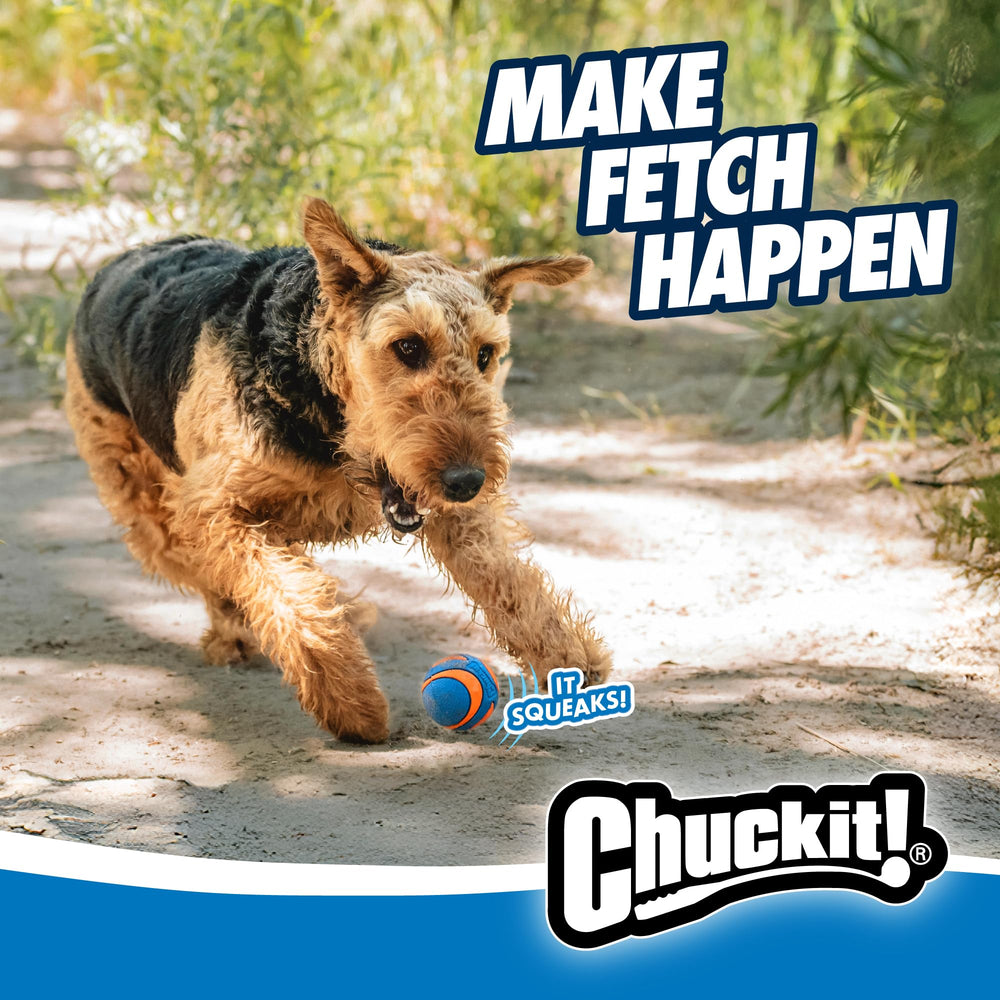 Chuckit brand heritage ball set with vibrant colors and dependable squeak.