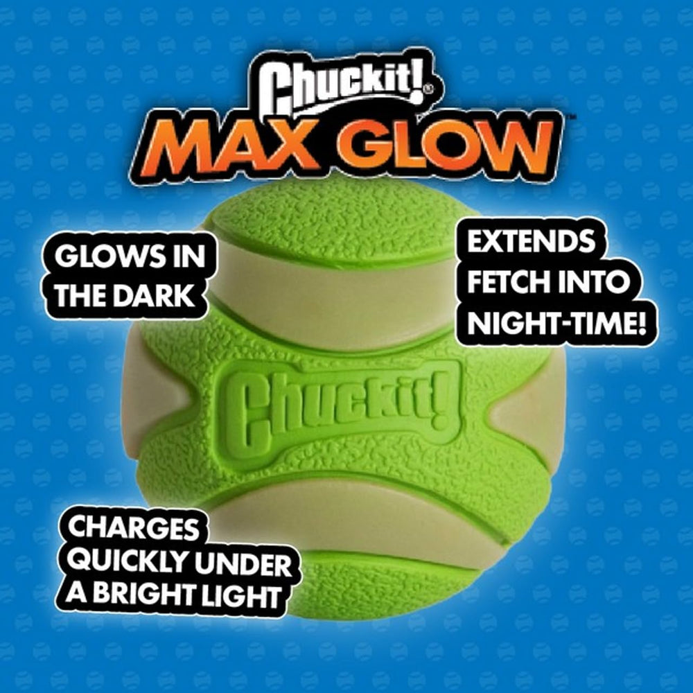 Chuckit Max Glow Ball Small with dog during evening fetch session