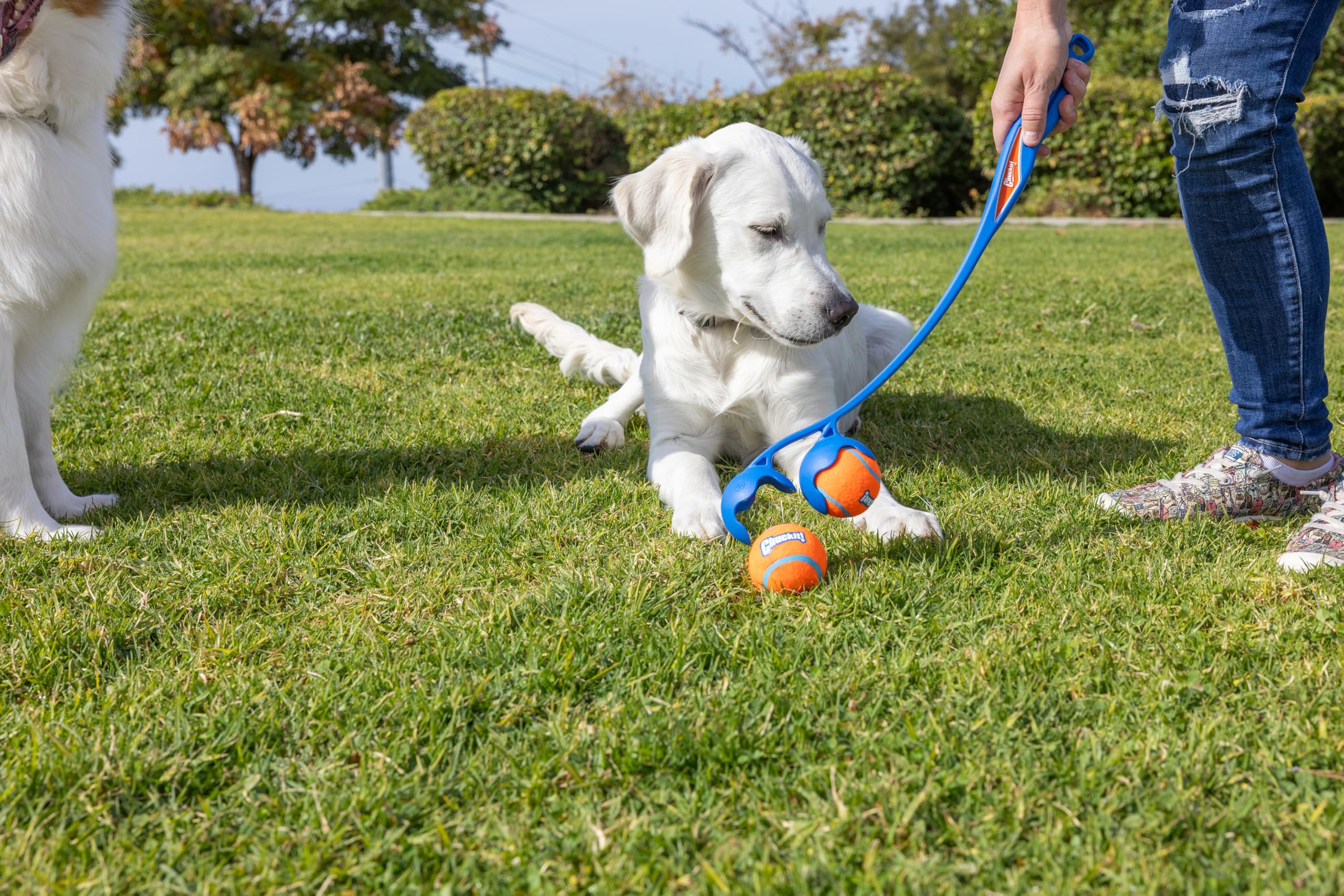 Chuckit! Duo 22M included balls pack keeps fetch ready to go