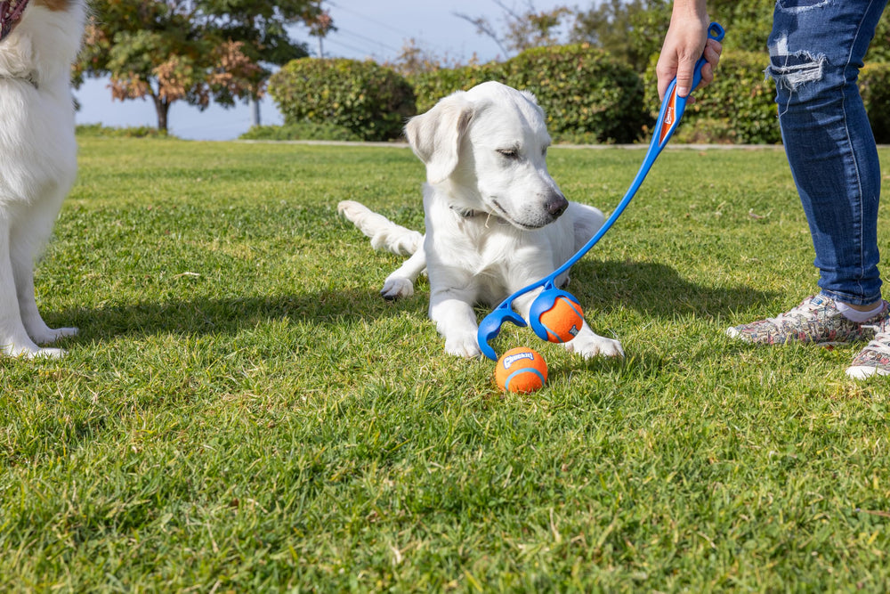 Chuckit! Duo 22M included balls pack keeps fetch ready to go
