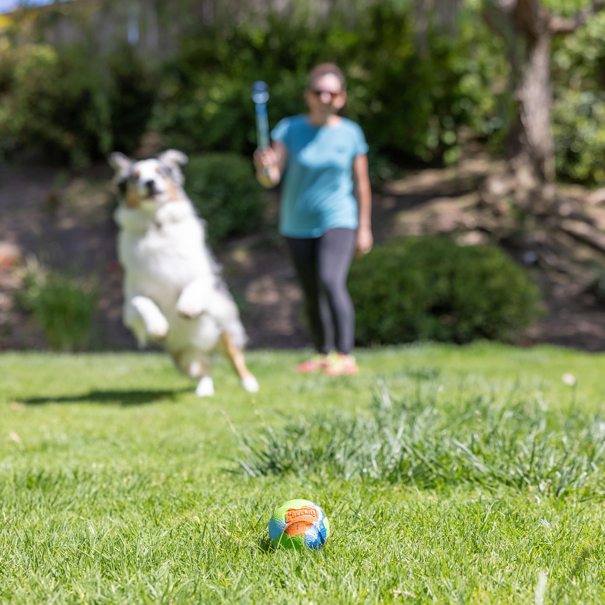 Bola EcoFetch con alto rebote para mantener la emoción