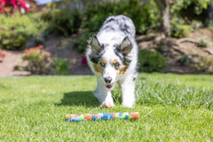 Chuckit! EcoFetch durable-core stick stands up to rough play while remaining gentle on mouths.