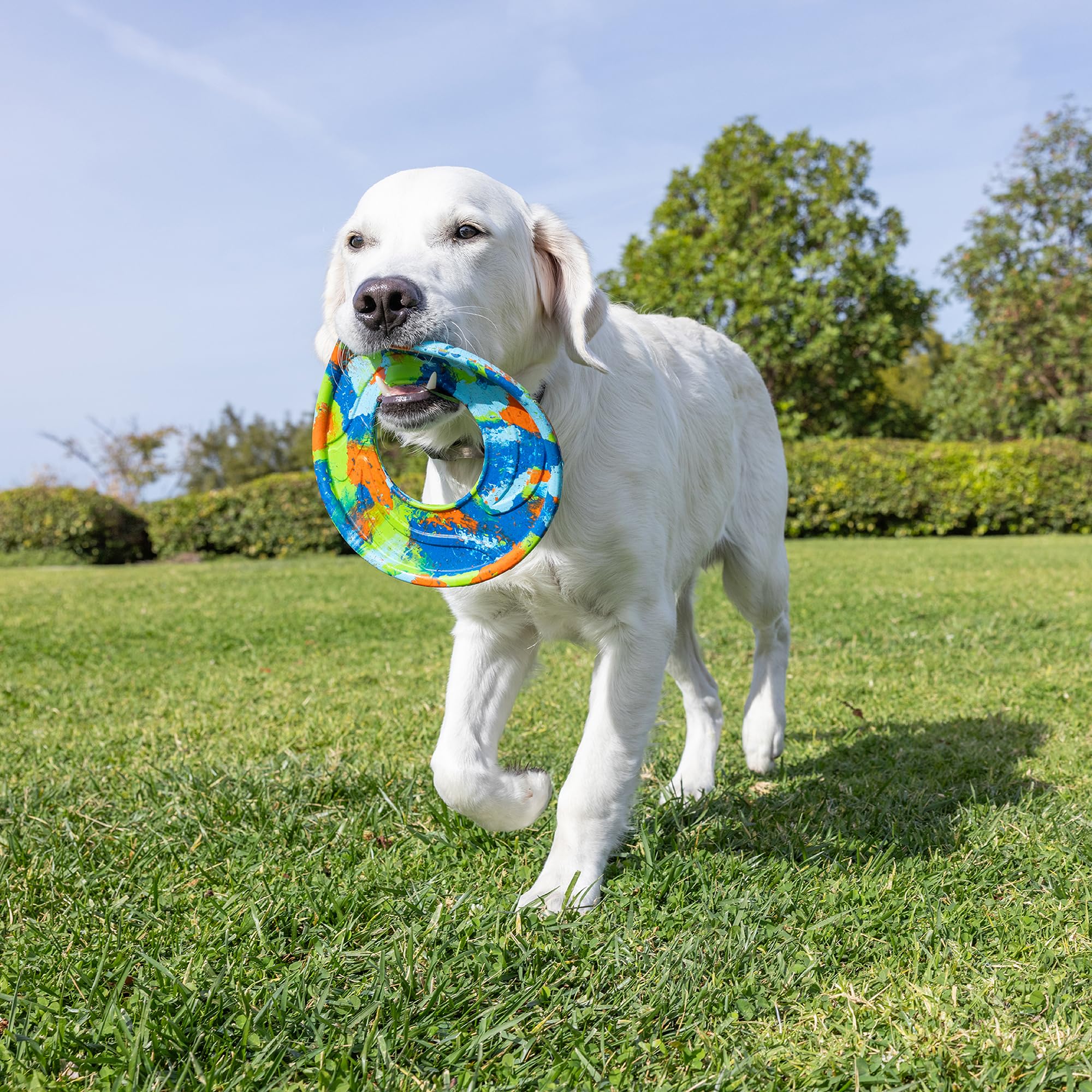Chuckit EcoFetch Flyer bright colors aid quick locating during play