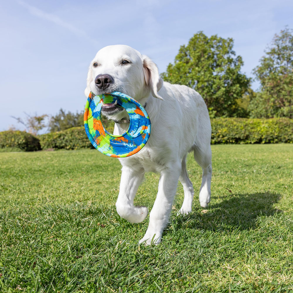 Chuckit EcoFetch Flyer bright colors aid quick locating during play