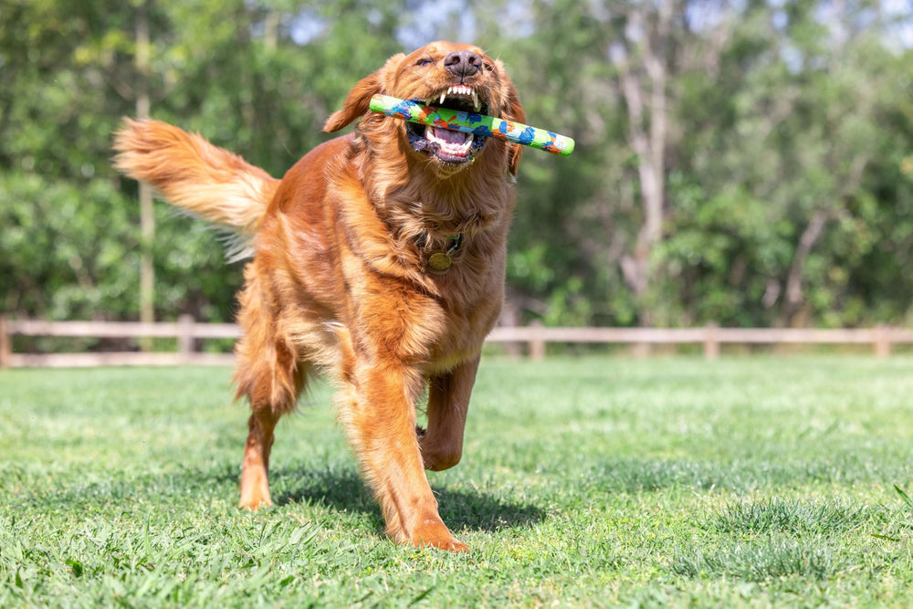Chuckit! EcoFetch slobber-free pickup keeps play clean after slobbery retrieves.