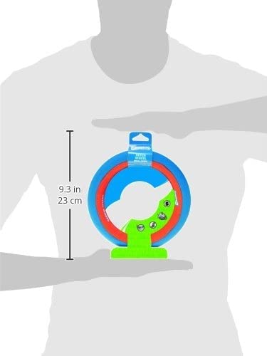 Chuckit! Fetch Wheel small dog toy lightweight buoyant yard fun.