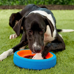Chuckit! Fetch Wheel small dog toy open center for easy pickup.