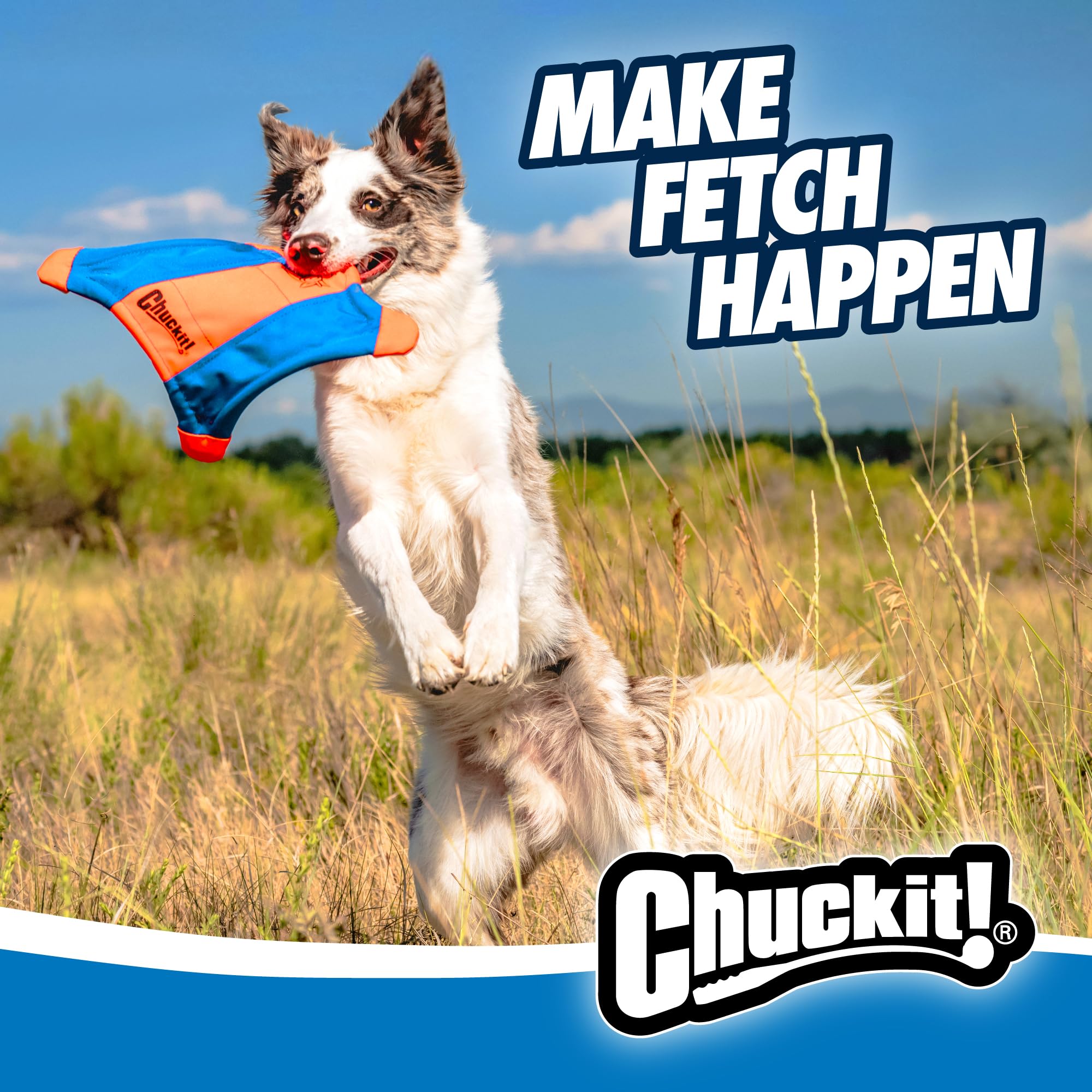 Chuckit! Flying Squirrel floats on water for pool or lake fetch sessions
