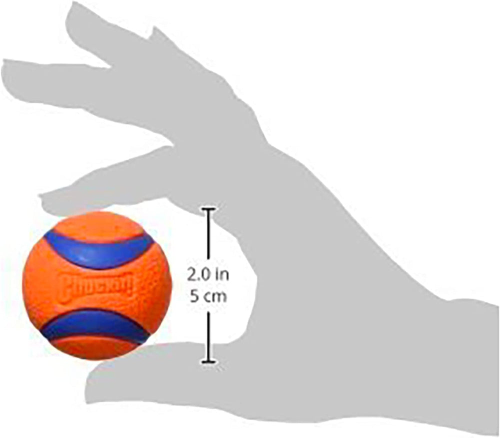 Chuckit four-pack keeps extra balls ready for daily adventures