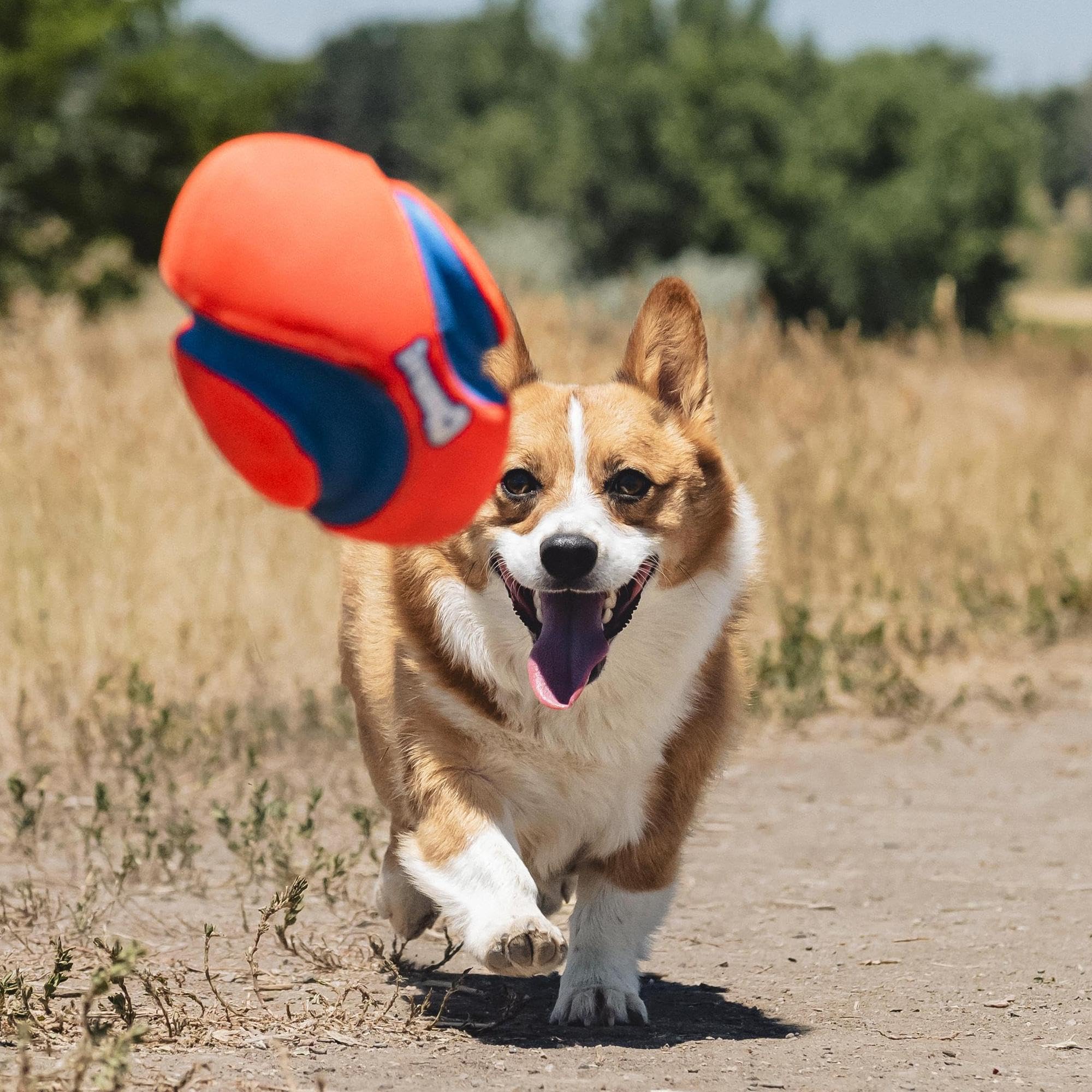 Chuckit! Fumble Fetch lightweight design enables dogs to carry it easily.