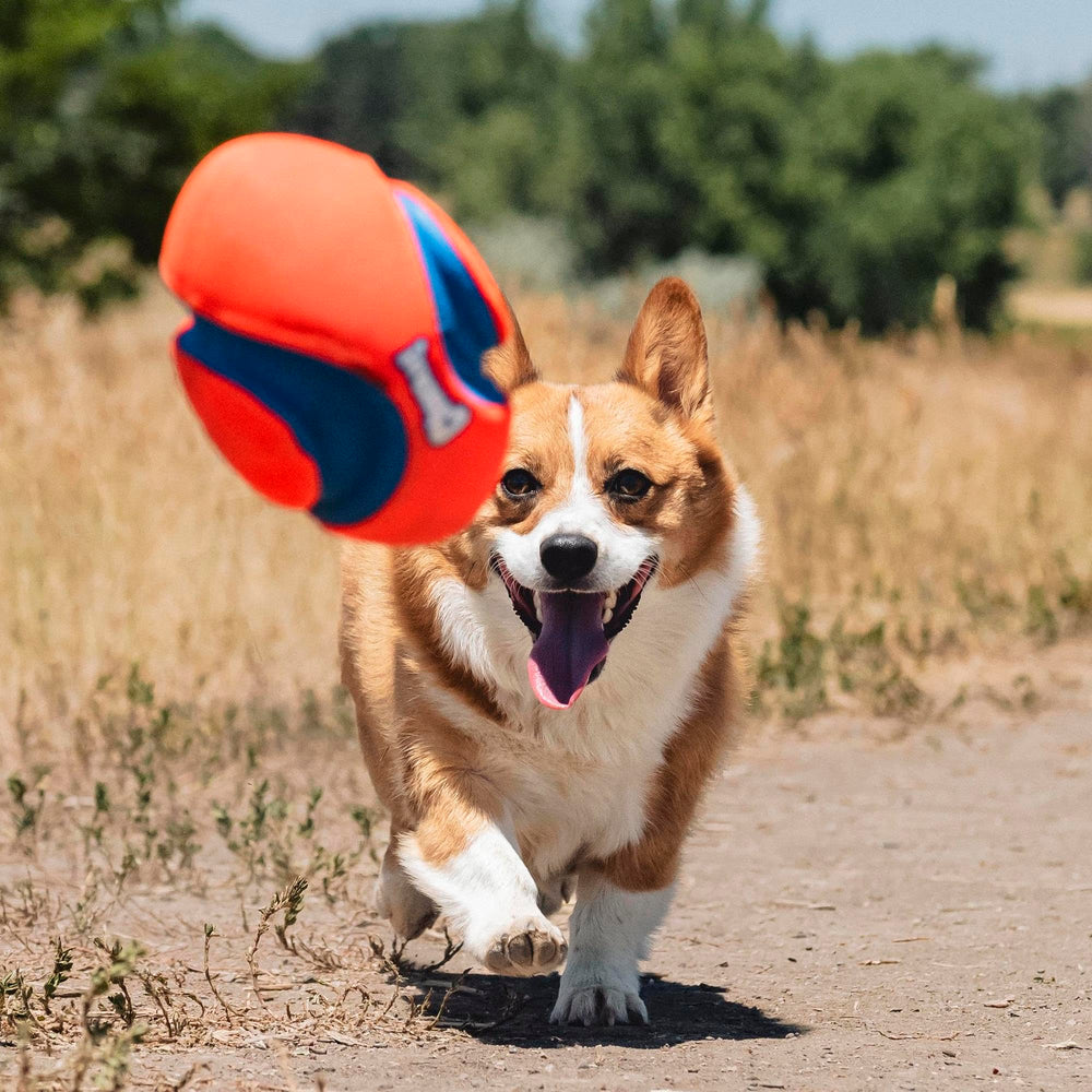 Chuckit! Fumble Fetch lightweight design enables dogs to carry it easily.