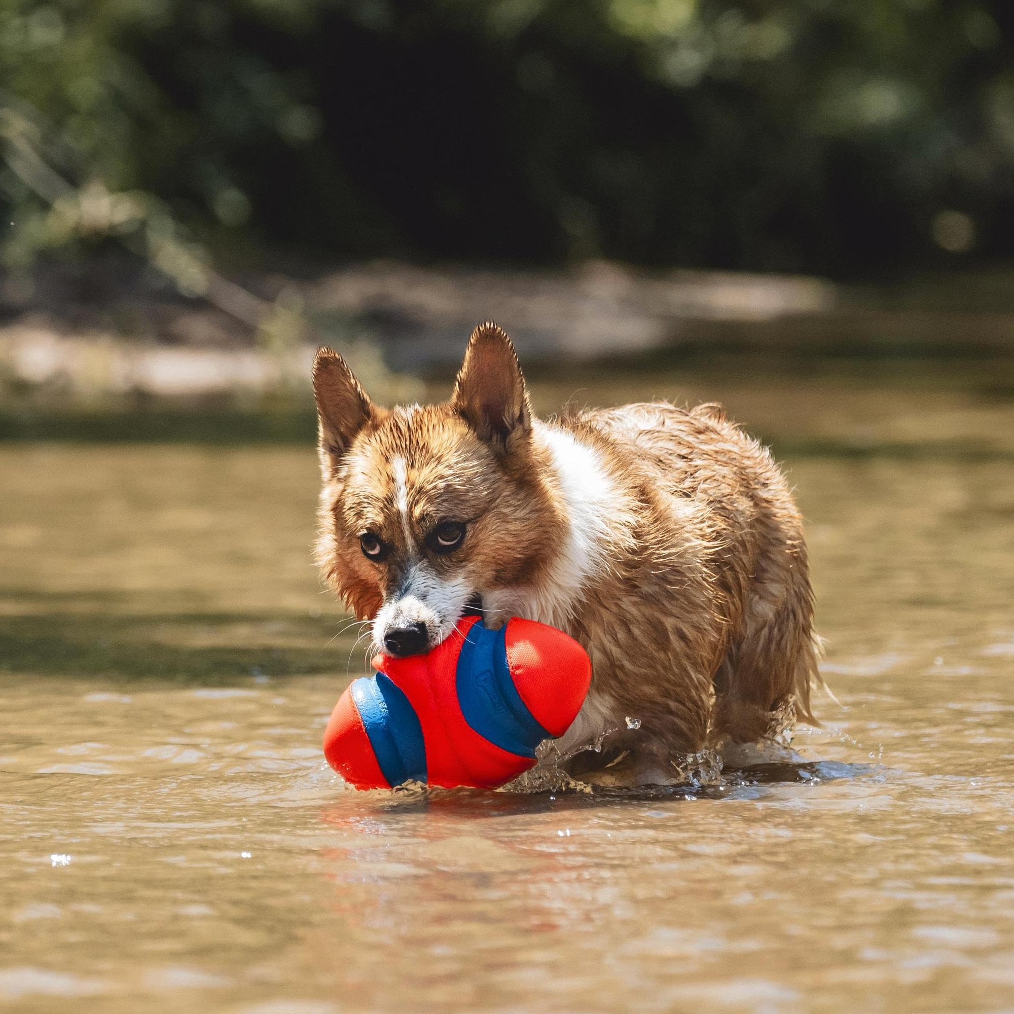 Chuckit! Fumble Fetch bright colors improve visibility during play.