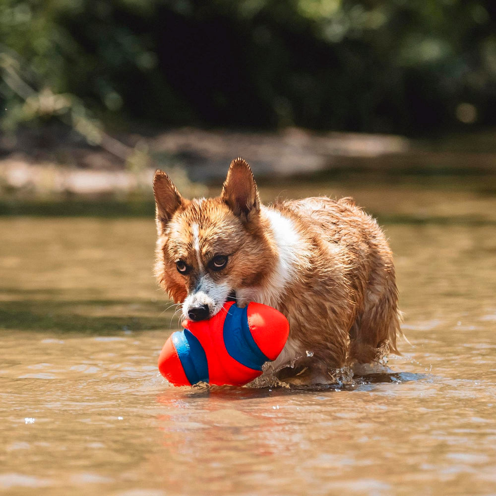 Chuckit! Fumble Fetch bright colors improve visibility during play.