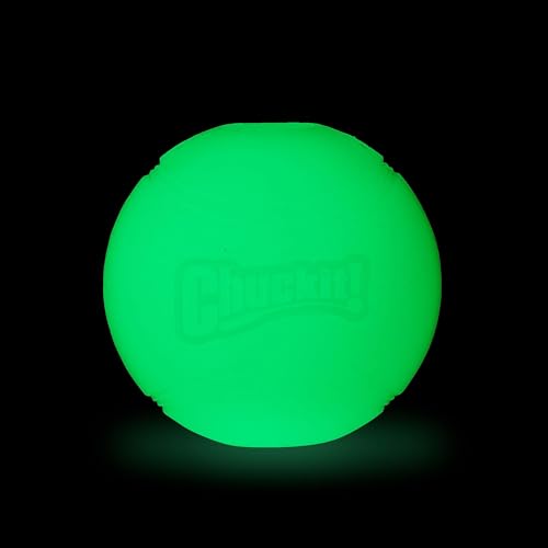 Chuckit glow ball in night play shows enhanced visibility during evening fetch