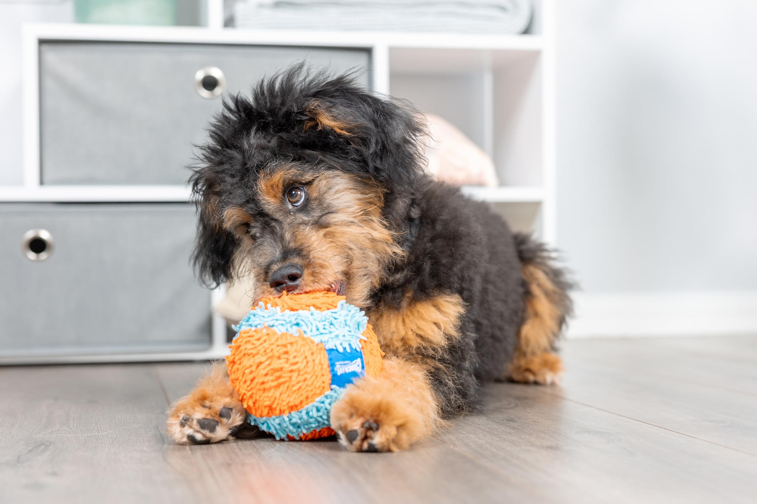 Chuckit! Indoor Fetch Ball close-up shows soft chenille fabric for gentle mouth contact.