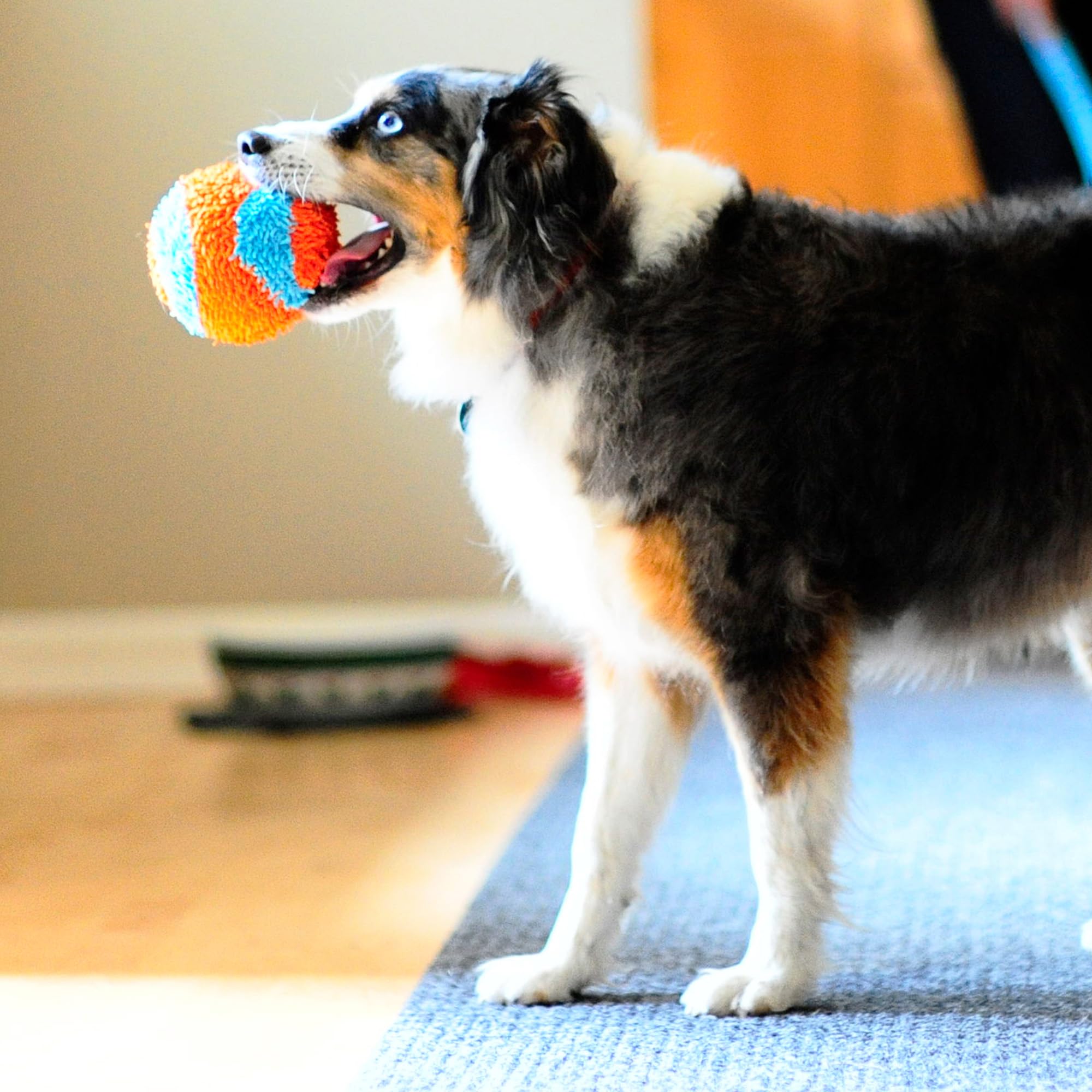 Chuckit! Indoor Fetch Ball is not a chew toy; supervise heavy chewers.