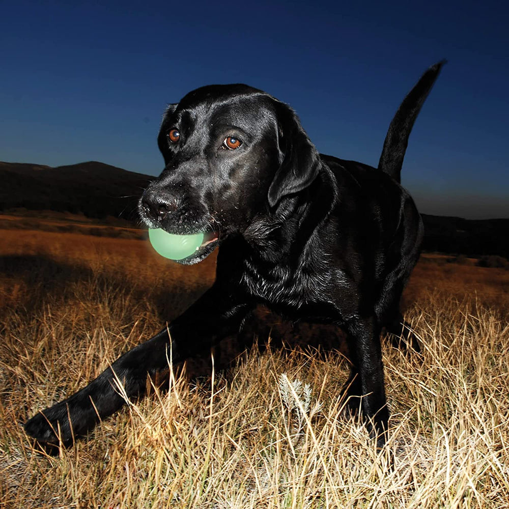 Chuckit glow ball indoor outdoor toy supports versatile play sessions