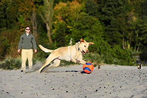 Chuckit Kick Fetch Ball durable canvas-rubber-foam construction for outdoors.