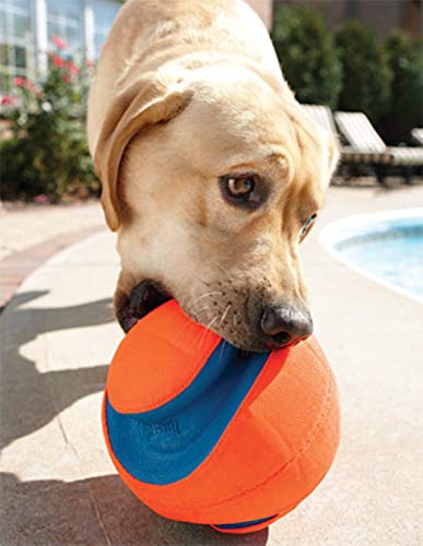Chuckit Kick Fetch Ball floats on water for splashy retrieves.