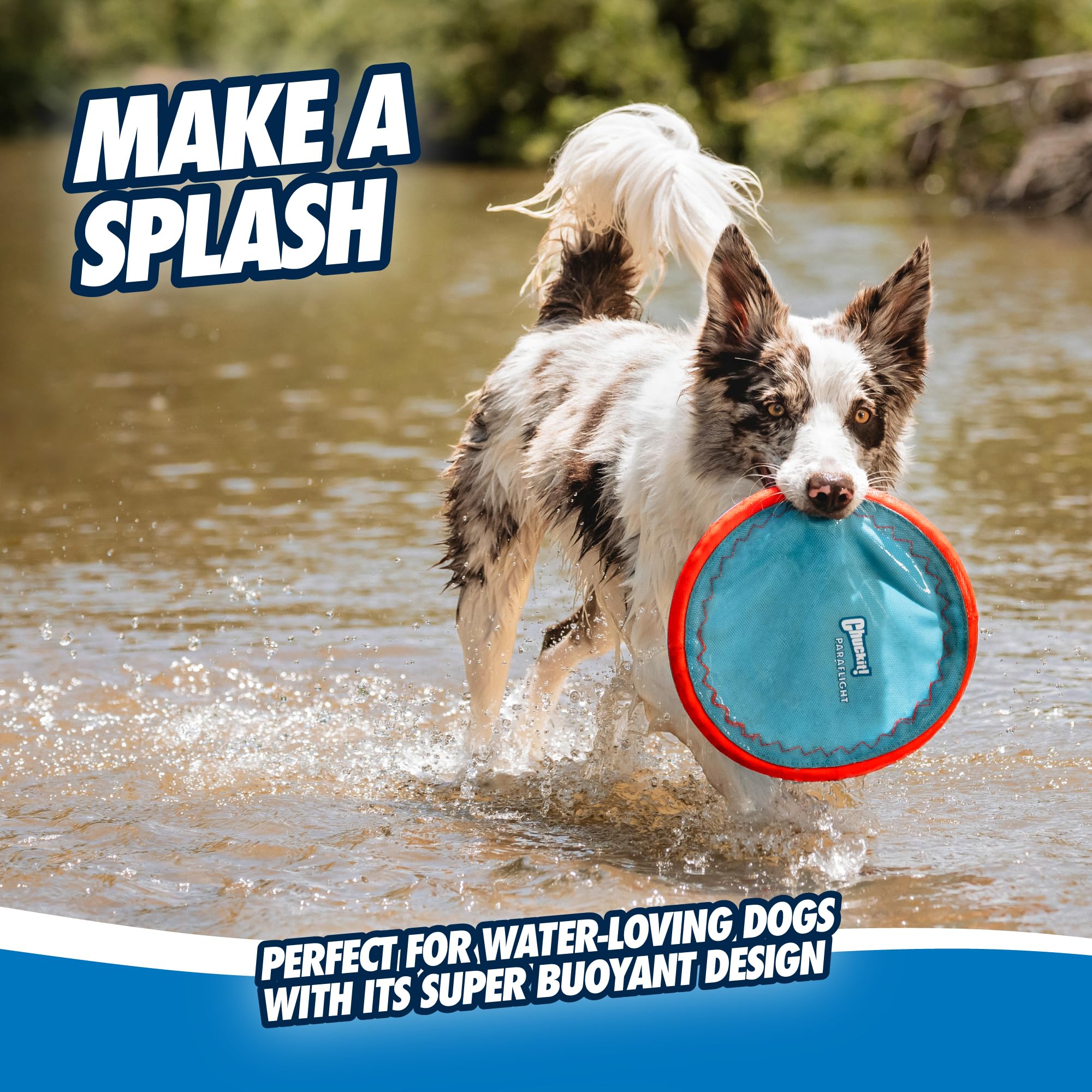 Chuckit! Max Glow Paraflight Disc enhances interactive fetch during dusk or dawn play.