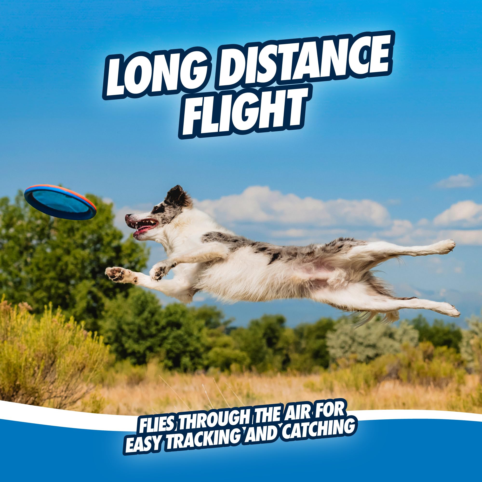 Chuckit! Max Glow Paraflight Disc charges in minutes for up to 20 minutes of glow.