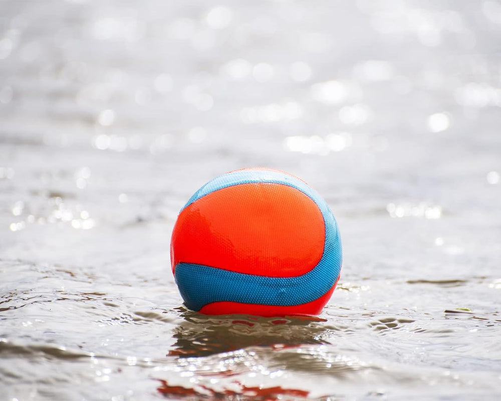 Chuckit Amphibious Mega Ball gentle on teeth during fetch sessions.