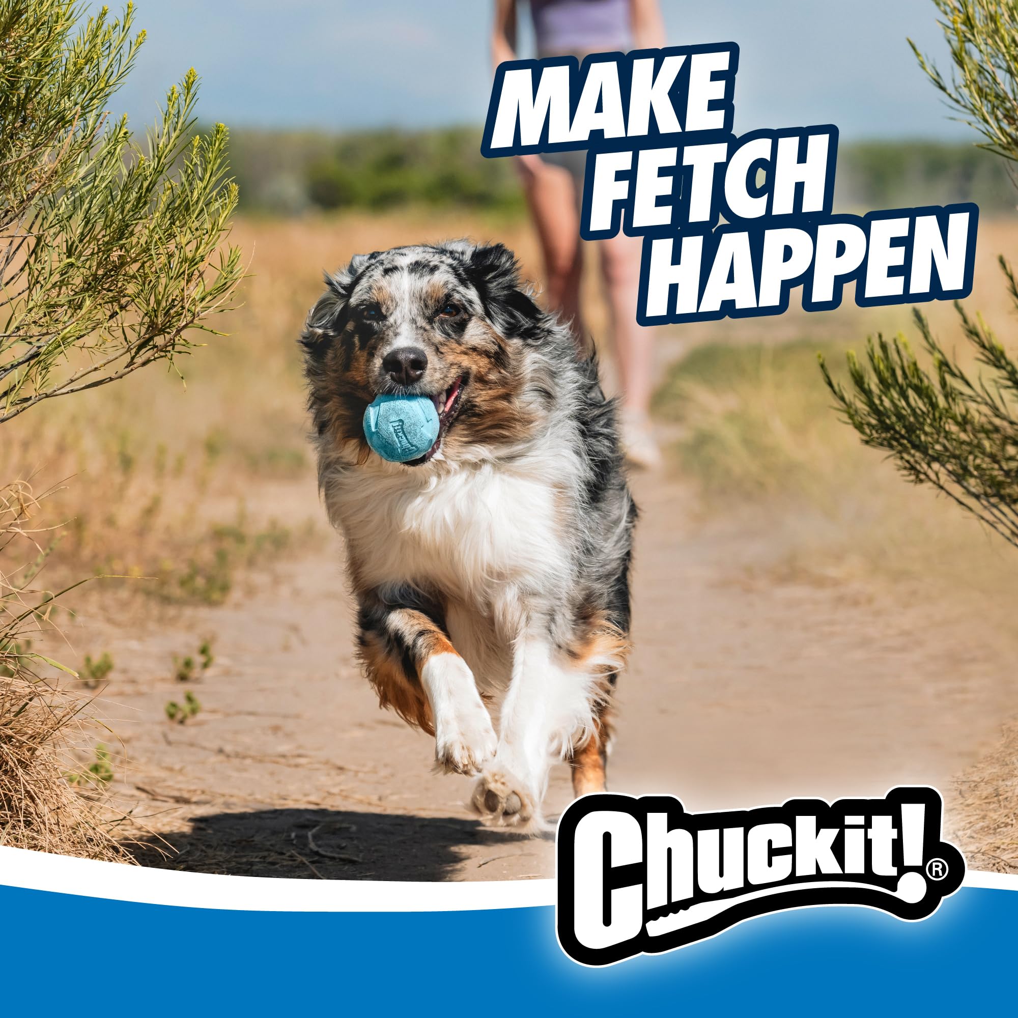 Chuckit! Rebounce Ball durable rubber texture for long-lasting outdoor fetch.