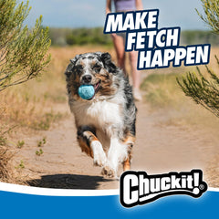 Chuckit! Rebounce Ball durable rubber texture for long-lasting outdoor fetch.