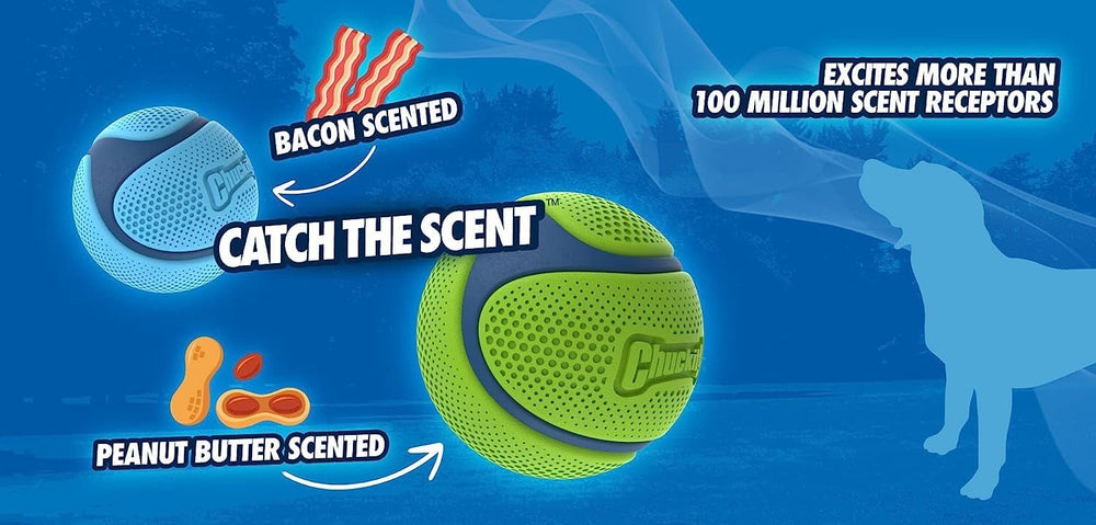 Chuckit Sniff Ball easy-clean surface simplifies quick cleanup after slobber