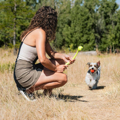 Chuckit! Sport 14S 2-inch small ball ready for small dogs up to 20 pounds.