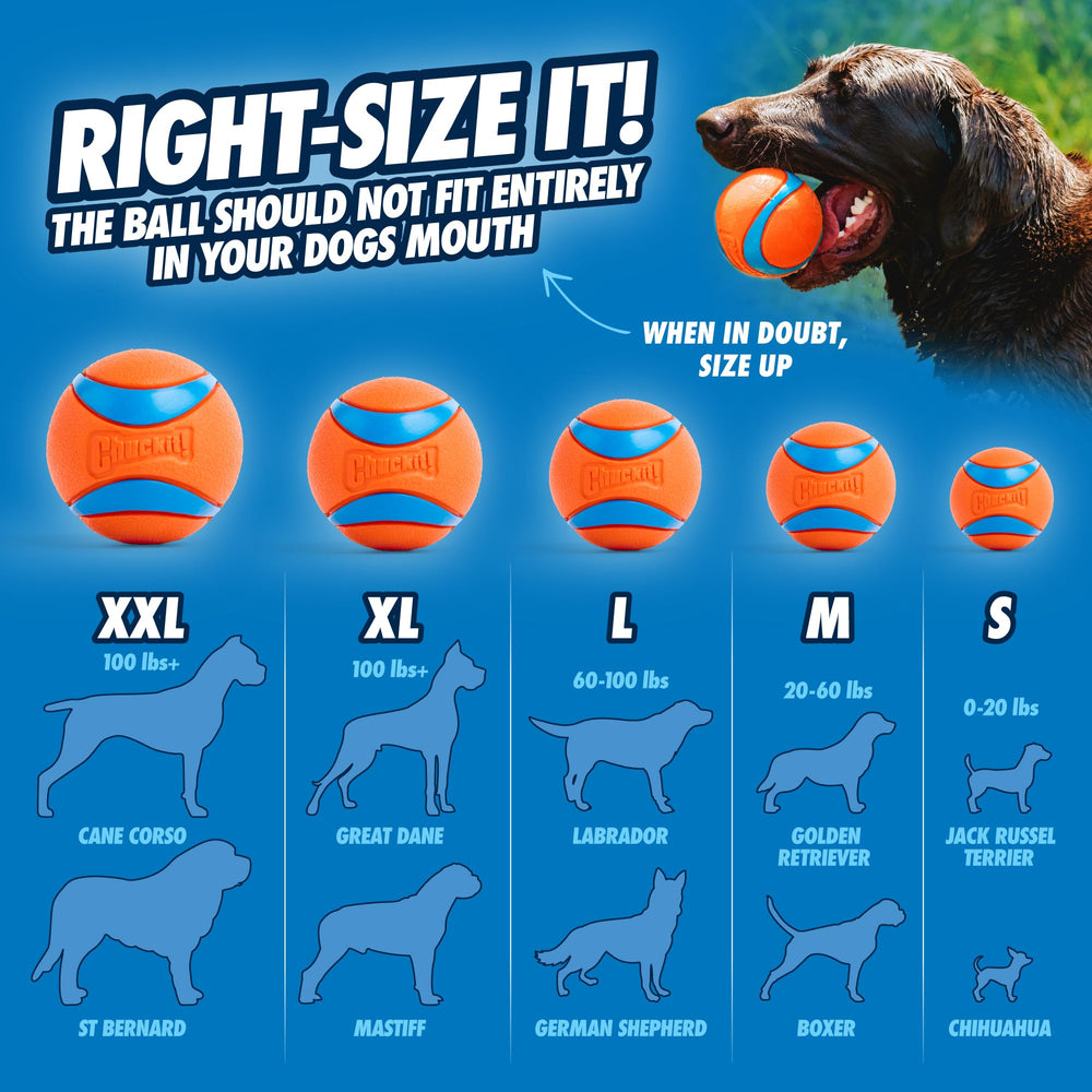 Bright Chuckit! ball floats and bounces clearly during land and water play.