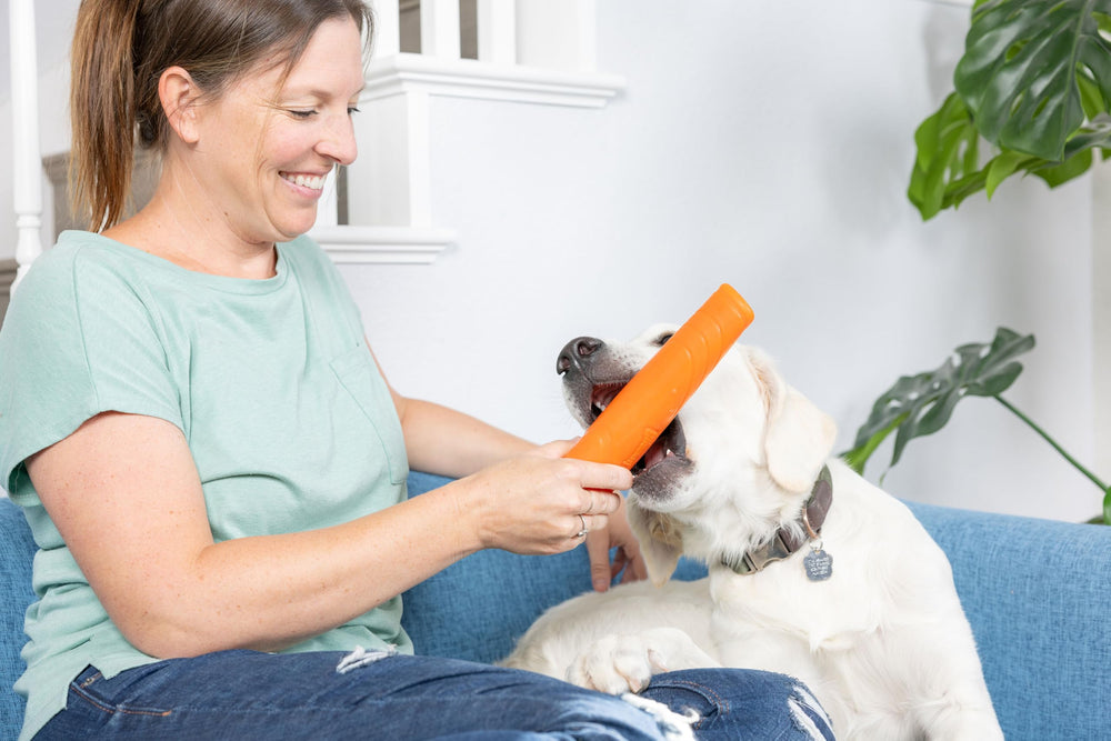 Chuckit! Super Crunch Stick measures 9.2 inches for medium and large dogs.
