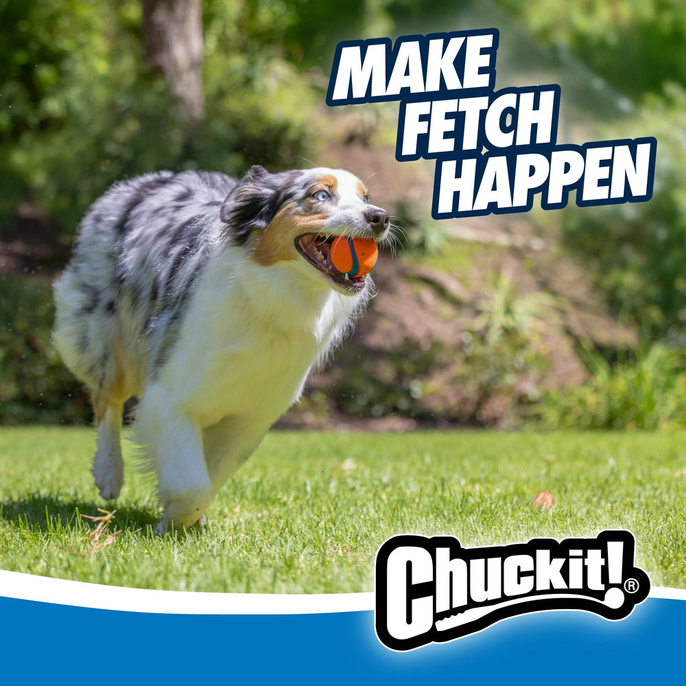 Chuckit! Ultra Ball buoyant for water play and splashy fetch sessions.