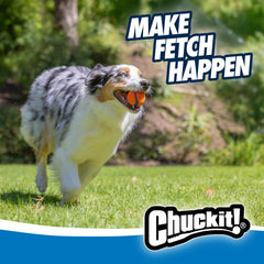Chuckit! Ultra Ball buoyant for water play and splashy fetch sessions.