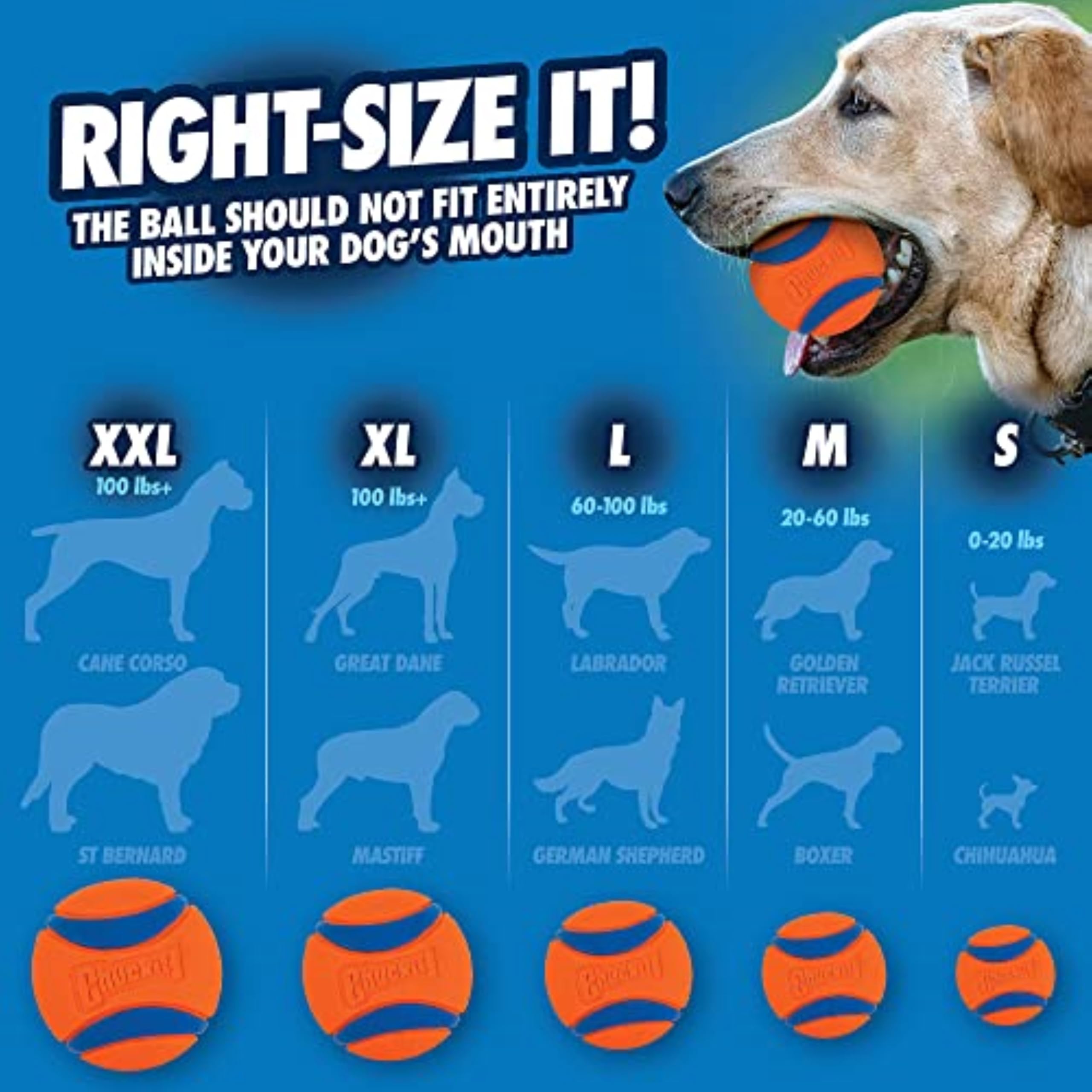 Chuckit! Ultra Ball thick rubber core withstands rambunctious play.
