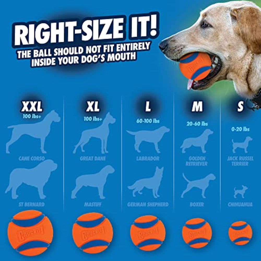 Chuckit! Ultra Ball thick rubber core withstands rambunctious play.