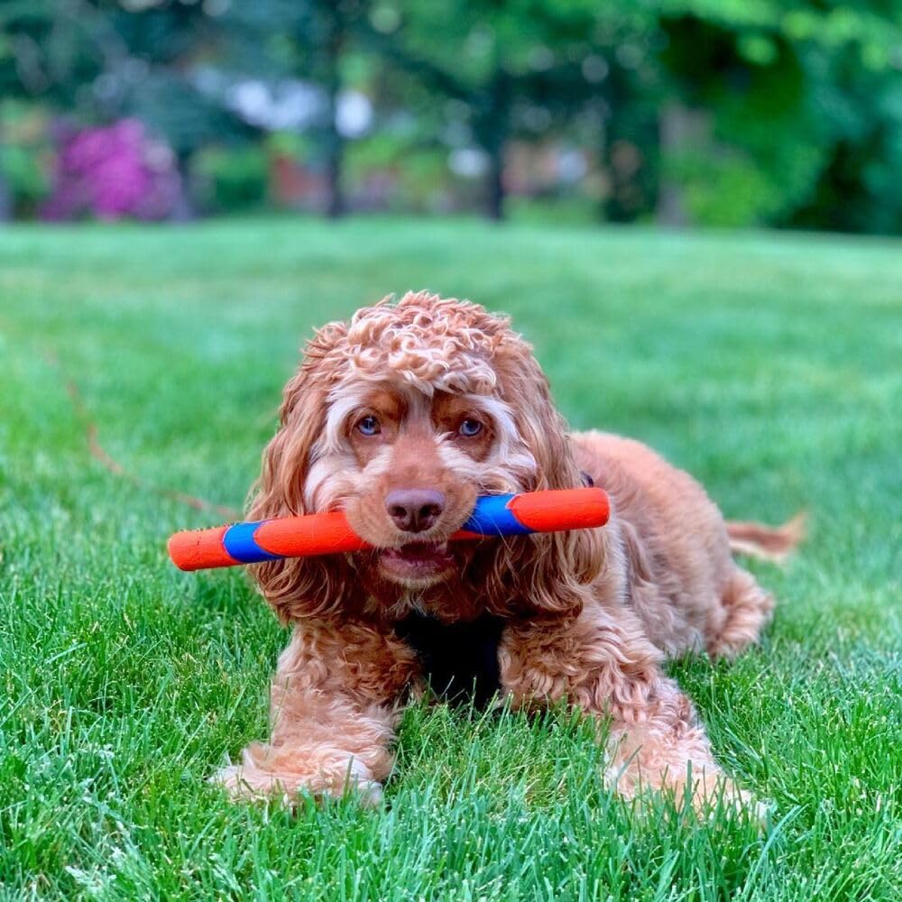 Chuckit! Ultra Fetch Stick in bright colors enhances visibility during play.
